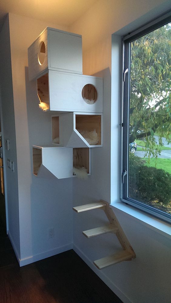 CASA PANTER - Imagen 6