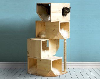 CASA PANTER - Imagen 7