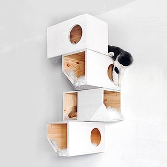 CASA PANTER - Imagen 5