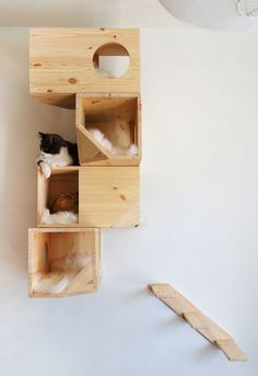 CASA PANTER - Imagen 3