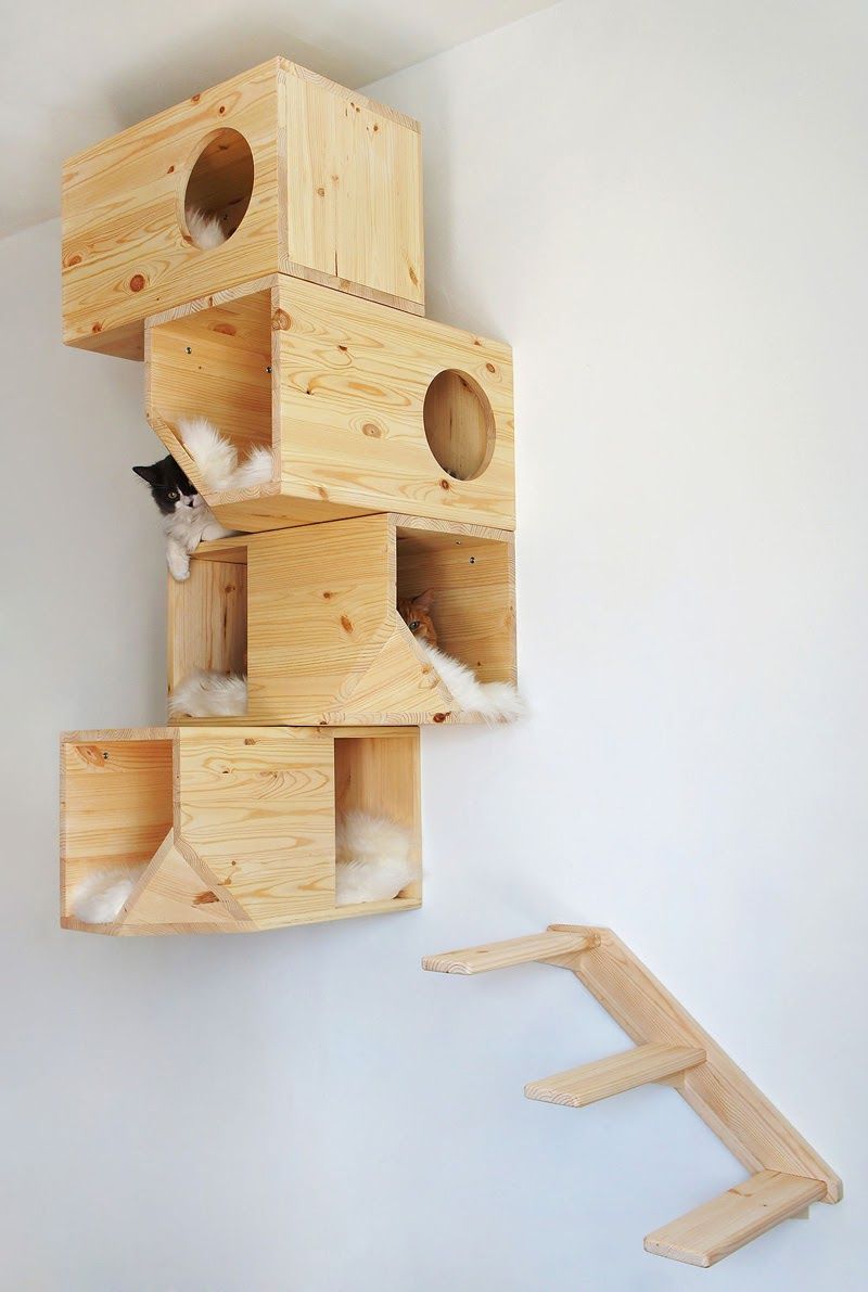 CASA PANTER - Imagen 8