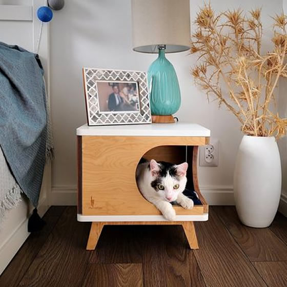 CASA PERSIAN